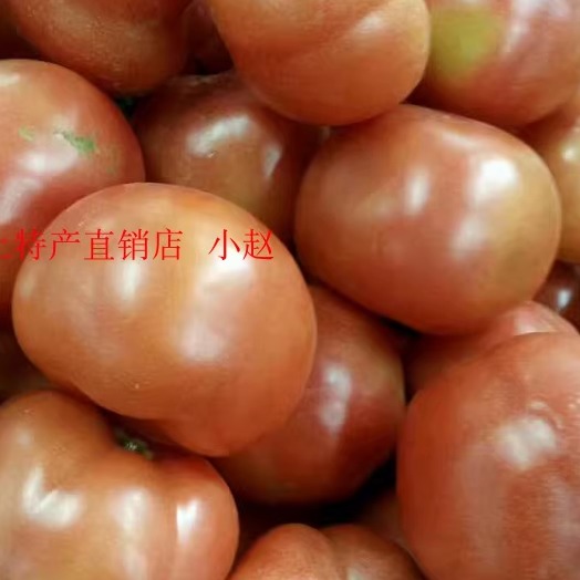 湖北省广水特产农家自种新鲜西红柿自然成熟无农药一斤7元4斤包邮