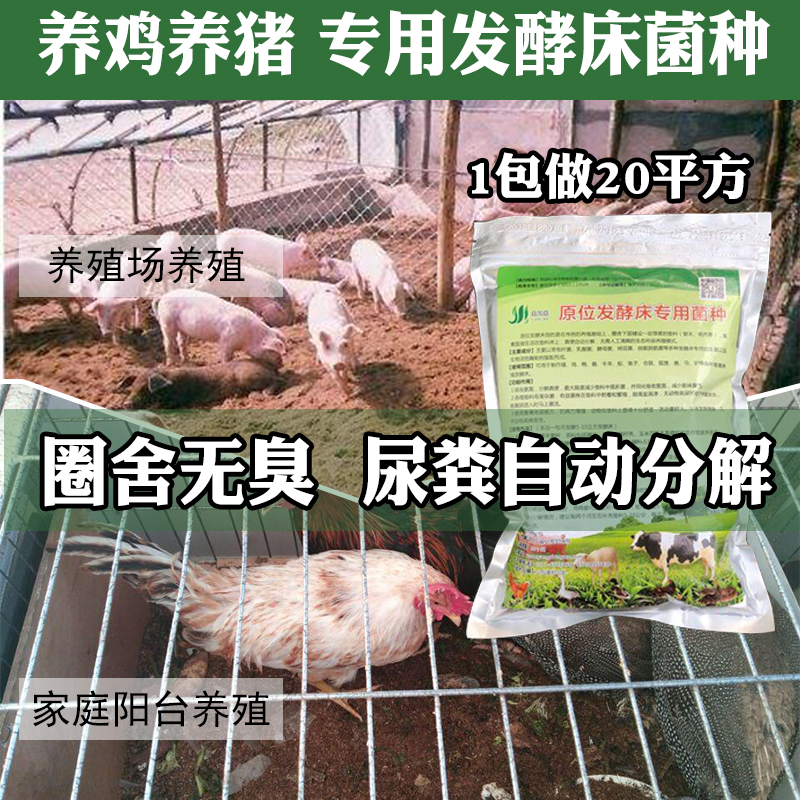 养鸡专用发酵床菌种阳台家用养鸡鸭鹅干撒式养殖牛羊蛇养猪发酵床