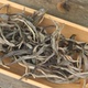 500克2023正宗老树头春普洱茶生茶散茶蛮砖纯料易武昔归产区包邮