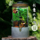 创意苔藓微景观小青苔流水生态瓶室内桌面绿植手工造景植物玻璃缸