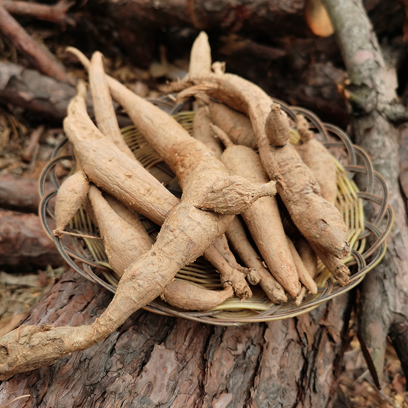 广西瑶山大妈野生土特产的优惠券大全—广西金秀大瑶山中牛鲜货野生牛