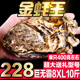 特大号乳山生蚝鲜活新鲜牡蛎带壳特级海鲜水产单只6-8两10斤8XL