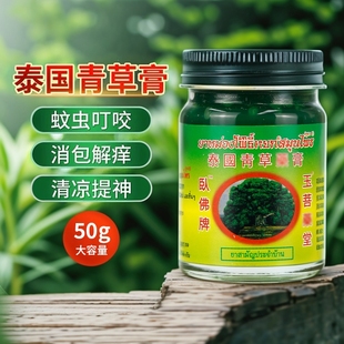 泰国正品卧佛牌青草药膏儿童驱蚊防蚊清凉油提神醒脑玉菩堂草本味