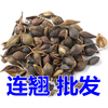 中药材正品新货野生连翘干500g克精选天然无硫翘壳青翘落翘中草药|ru 中药材正品新货野生连翘干500g克精选天然无硫翘壳青翘落翘中草药|ru