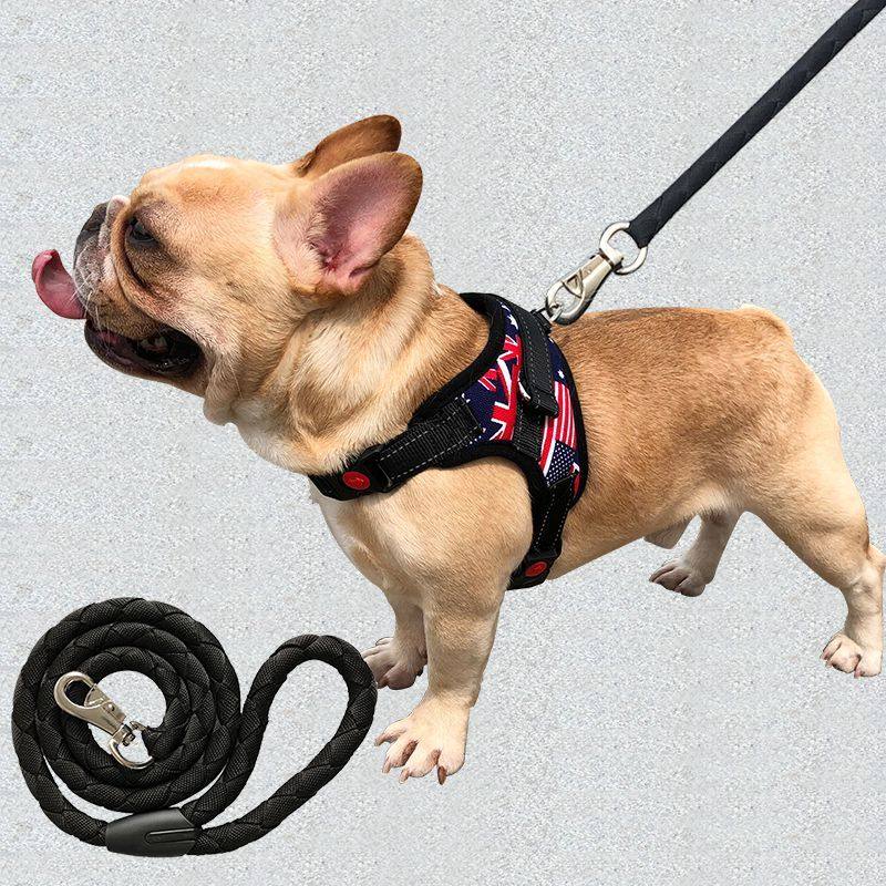 一折狗链子 大型犬 项圈 颈圈式