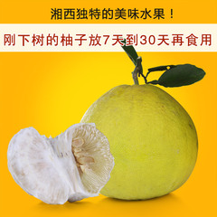 新鲜水果白肉蜜柚湖南湘西农户特产柚子两个果约4—5斤