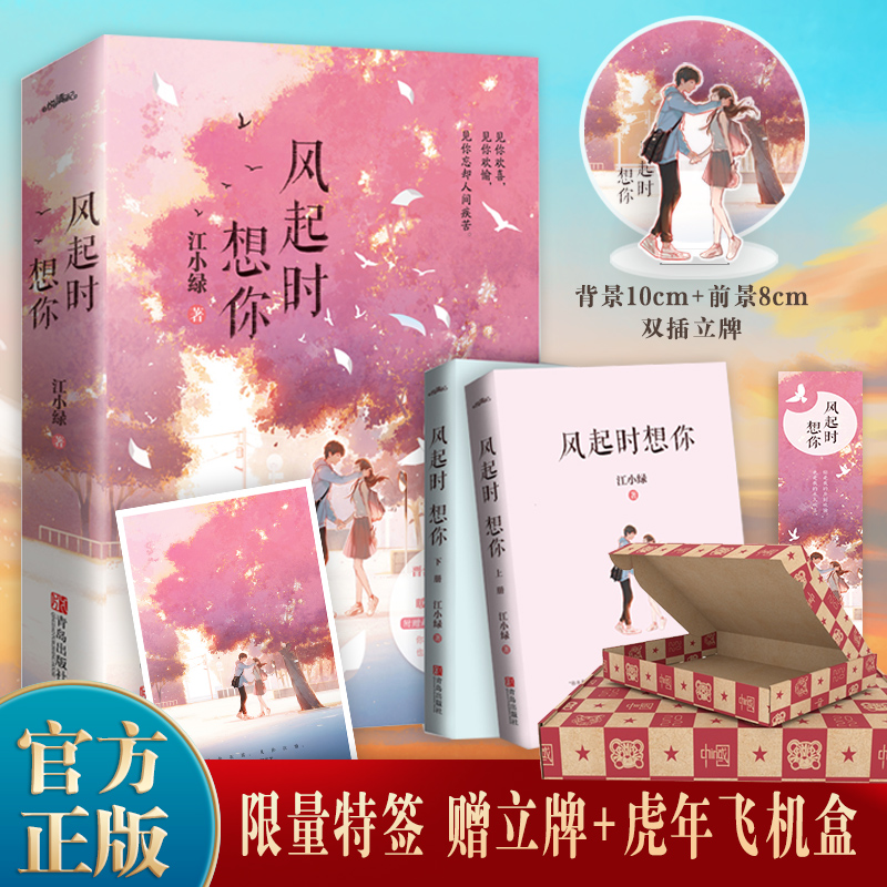 现货特签版 风起时想你 江小绿著青