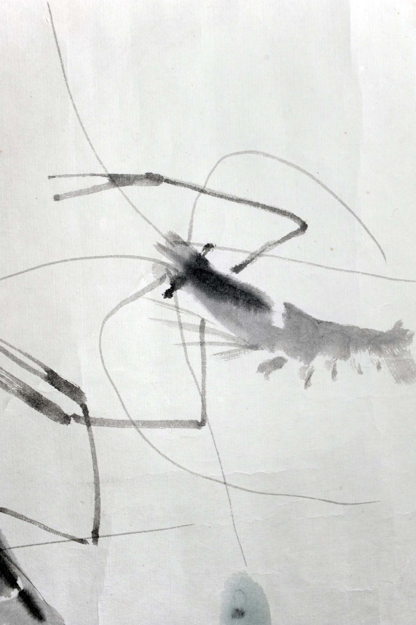 娄师白 群虾图 大千画廊