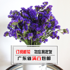 天然干花真花勿忘我永生花束家庭生活鲜花订阅DIY插花客厅办公室