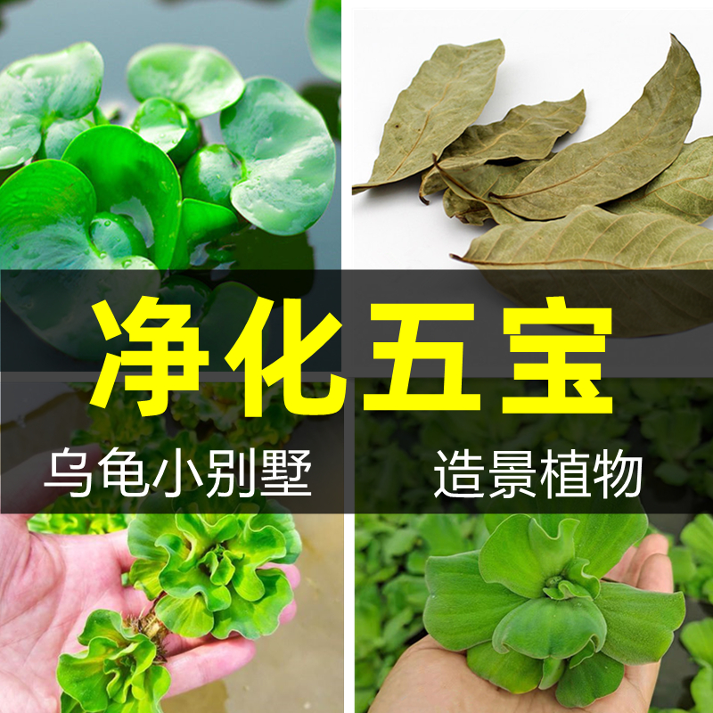 乌龟专用缸造景家用生态缸水草植物房子小别墅养龟缸晒台装饰用品