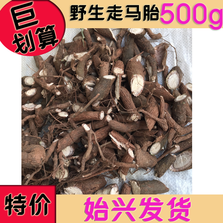 中药走马胎是什么?