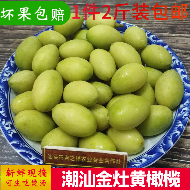 广东潮汕当季现摘新鲜青橄榄潮汕金灶黄榄白沙榄水果泡酒煲汤包邮