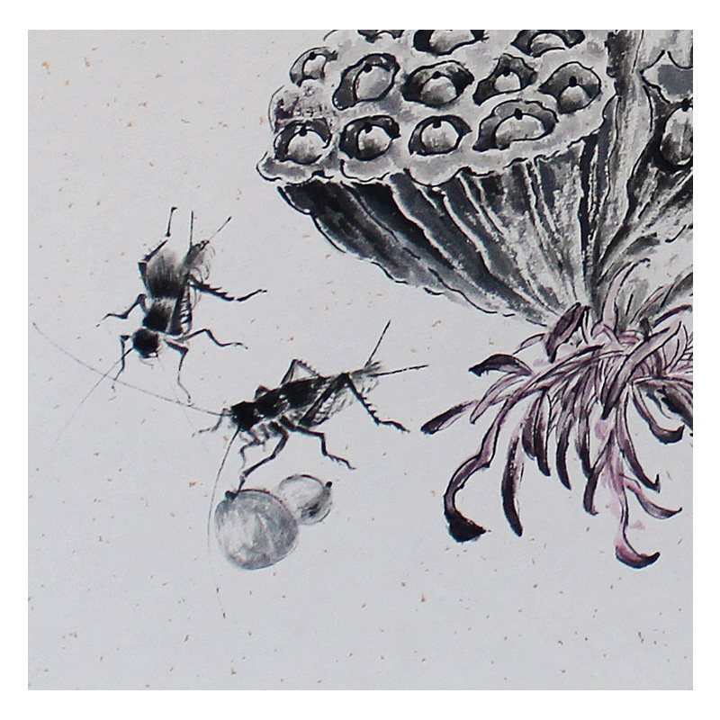 【直供周】罗小平 《莲子》 纸本国画