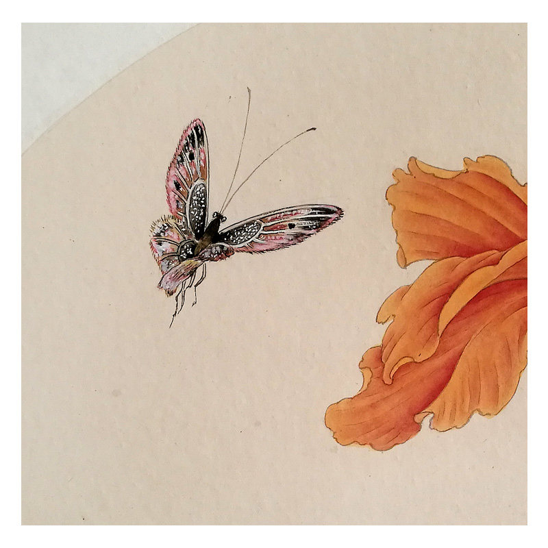 【双十二】周君华 《化蝶》 纸本国画