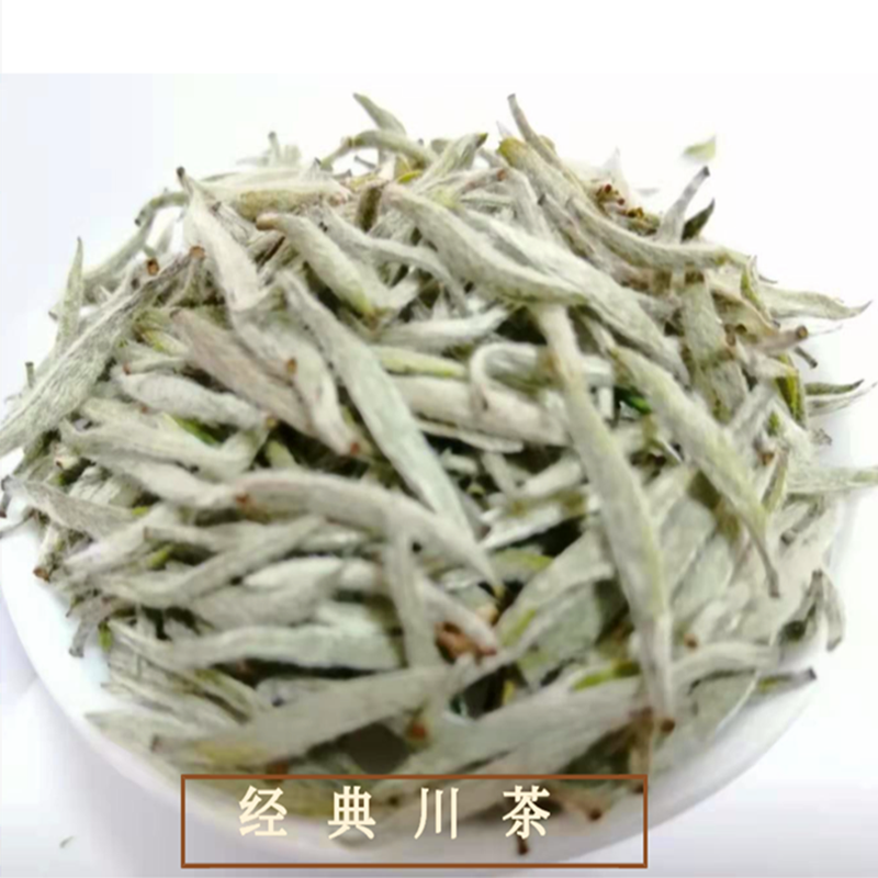 高山茶荒野老树纯料老川茶白茶传统头采首日芽特级白毫银针3年陈