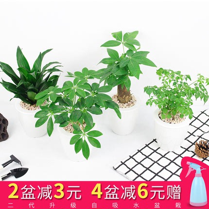 Tᳱļ䴿Բ·װ 19.90Ԫ