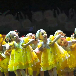 六一儿童演出服幼儿舞台表演服女童可爱纱裙我们都是小星星蓬蓬裙