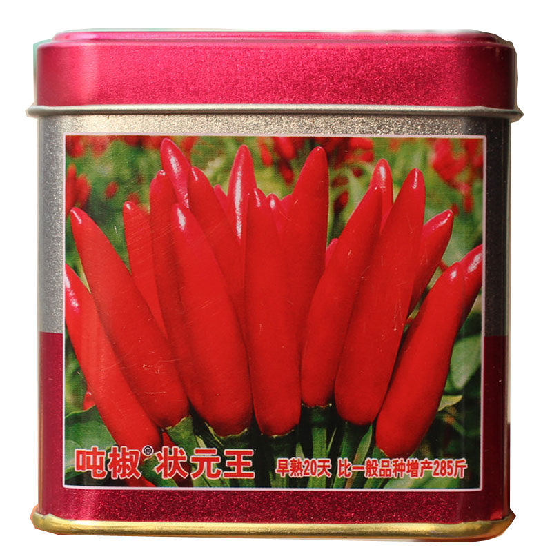 吨椒状元王 特辣小红朝天椒籽 高产