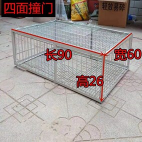 只进不出鸽子笼天落笼收鸽机跳笼诱捕抓鸽子自动笼抓鸽的陷阱笼子