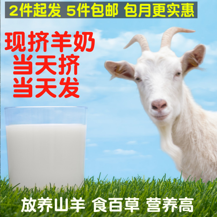 鲜羊奶现挤新鲜