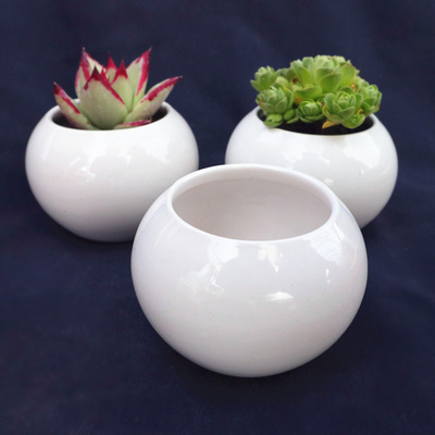 简约白瓷花盆 陶瓷花盆 多肉植物花盆迷你小花盆简约桌面摆件花盆