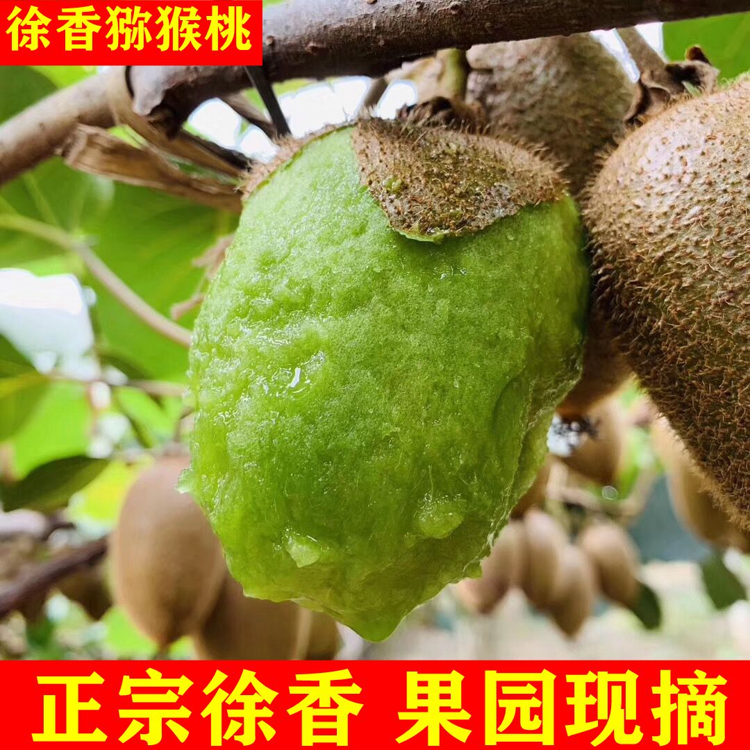 猕胡桃新鲜水果5斤包邮