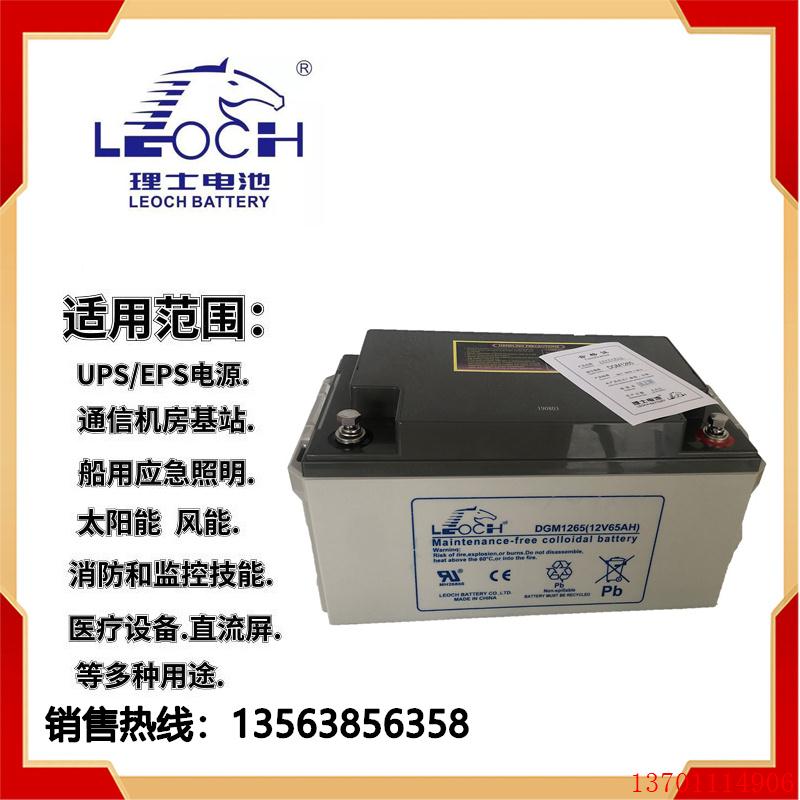 理士蓄电池12V65AH阀控式免维护DJM1265 UPS电源通讯机房专用电瓶