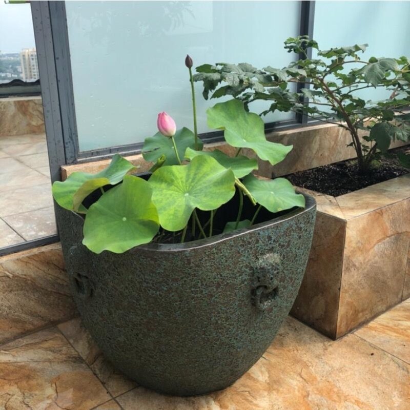 景德镇粗陶陶瓷鱼缸睡莲盆荷花大缸碗莲盆缸仿石水缸金鱼流水摆件