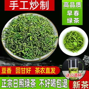 特级日照绿茶2024年新茶叶春茶正宗板栗香豆香鲜山东高山云雾500g