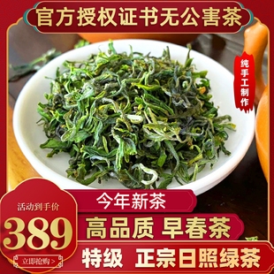 日照绿茶2024新茶特级无公害山东正宗春茶板栗香茶叶袋装500头采