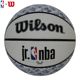 Wilson威尔胜篮球 吸湿柔软青少年儿童训练室内外比赛5号球小学生
