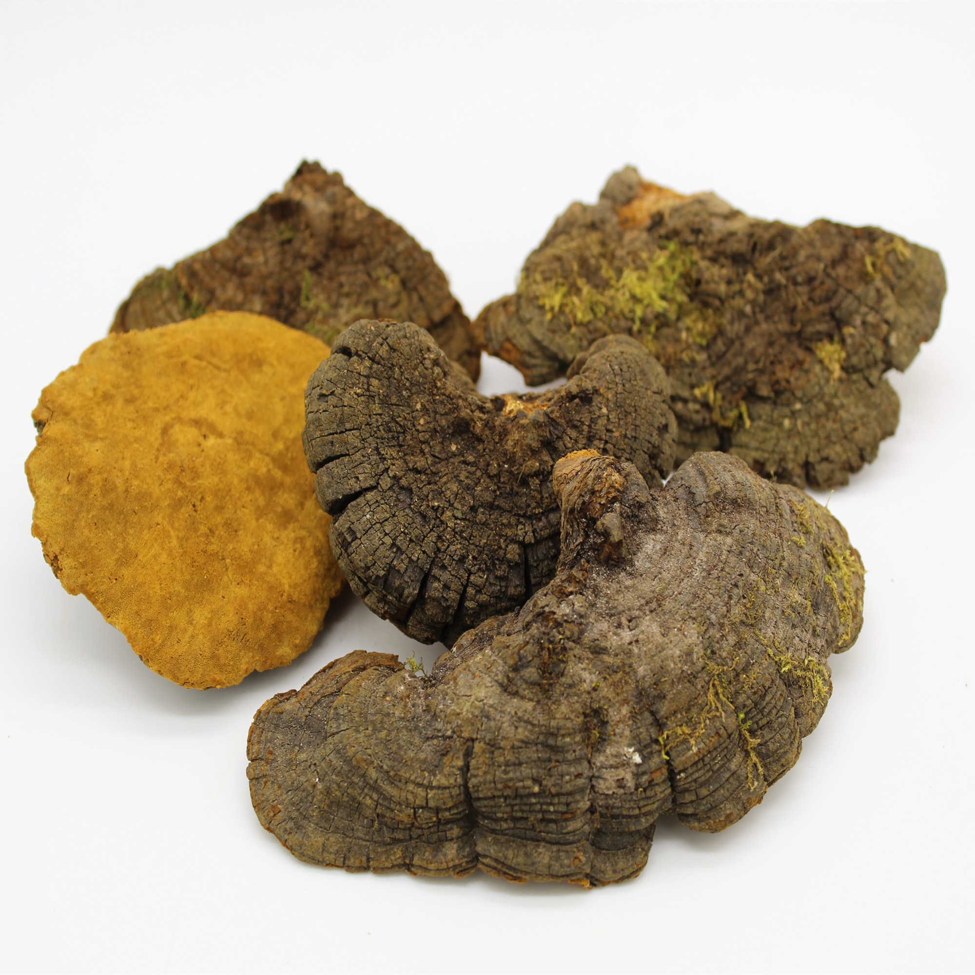 产品长白山野生杨树桑黄金边天然木灵芝新品干货250克包邮(去比价)