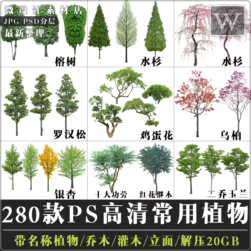 ps高清常用园林景观带名称植物乔灌木立面树效果图后期psd分层图