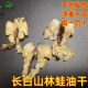 包邮10克雪蛤油膏东北特产雪蛤长白山林蛙油蛤蟆油特产保真