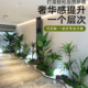仿真绿植造景组合景观室内软装酒店大厅装饰定制场景布置仿生植物