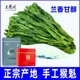 兰花坑太平猴魁2025年新茶新明乡手工猴魁茶叶捏尖安徽黄山绿茶