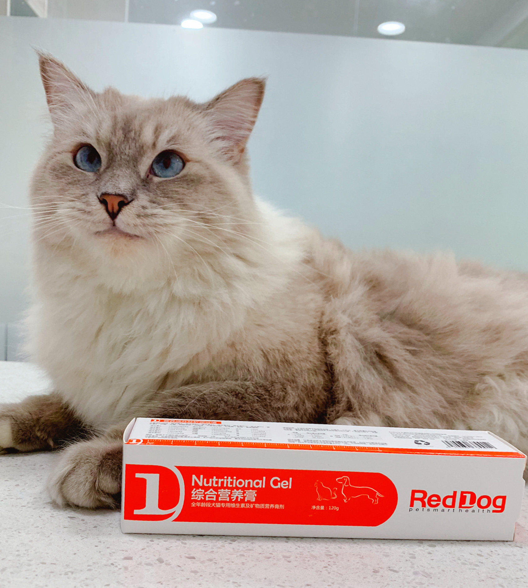 月销量 8领取60元券 省30元 猫用复合维生素猫胺赖氨酸猫咪牛磺酸猫益