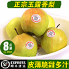 顺丰包邮 山西隰县玉露香梨脆甜新鲜水果梨子8斤整箱比库尔勒好吃|ru 顺丰包邮 山西隰县玉露香梨脆甜新鲜水果梨子8斤整箱比库尔勒好吃|ru