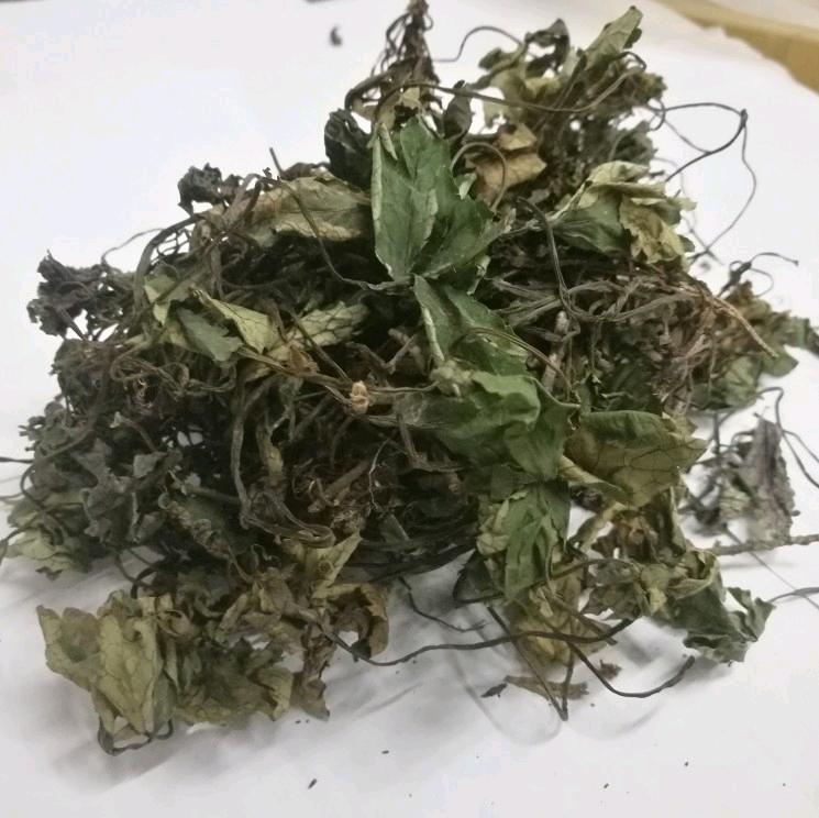 肺心草 野生大肺筋草 干品肺经草干货本色食用农产品自封袋2斤装