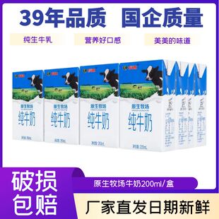 科迪纯牛奶100%原生牛奶200ml*24盒整箱学生儿童全脂补钙早餐奶