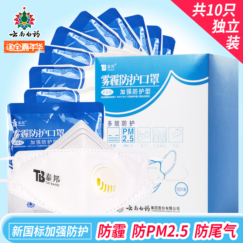 云南白药泰邦防雾霾PM2.5口罩防尘透气男女骑行10只独立包装正品在类目 居家日用, 防护用品, 口罩中 - 来自Buy2taobao.com提供专业的淘宝代购服务