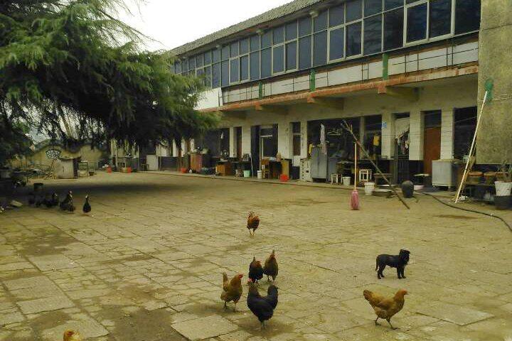 【第一次拍卖】南京市浦口区乌江镇周云村的土地及地上建筑物