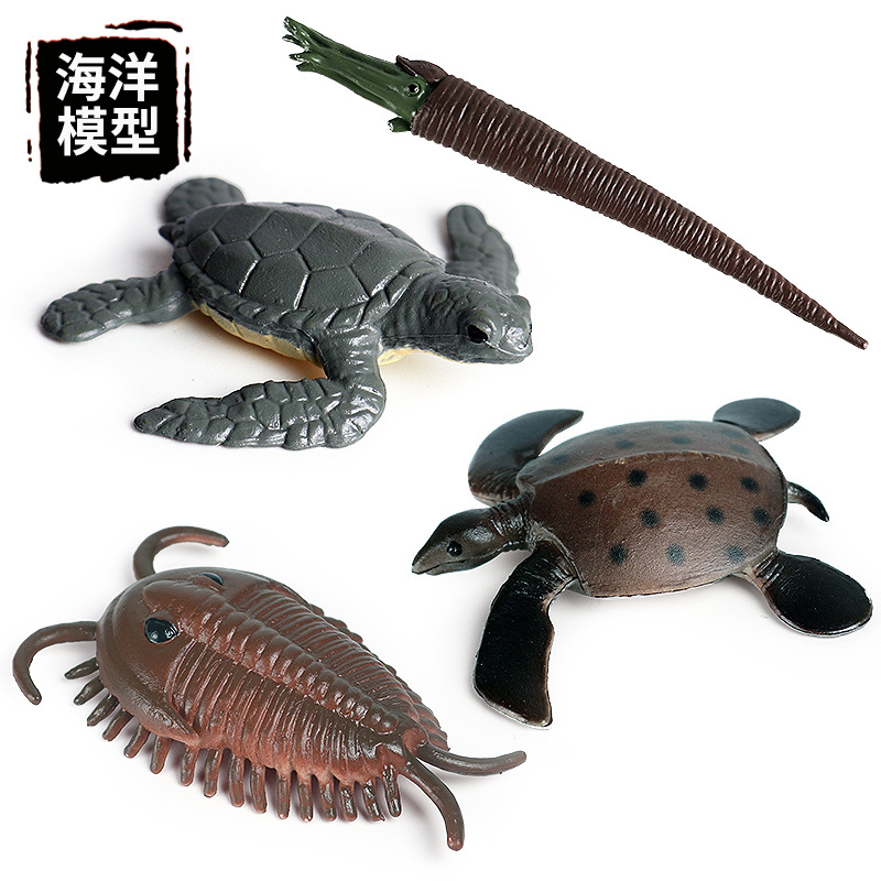 仿真迷你巨齿鲨房角石白鲸鹦鹉螺史前海洋动物玩具模型摆件装饰