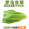 散葉羅馬生菜500g 新鮮綠色西餐蔬菜沙拉食材 江浙滬皖5件包郵 散葉羅馬生菜500g 新鮮綠色西餐蔬菜沙拉食材 江浙滬皖5件包郵