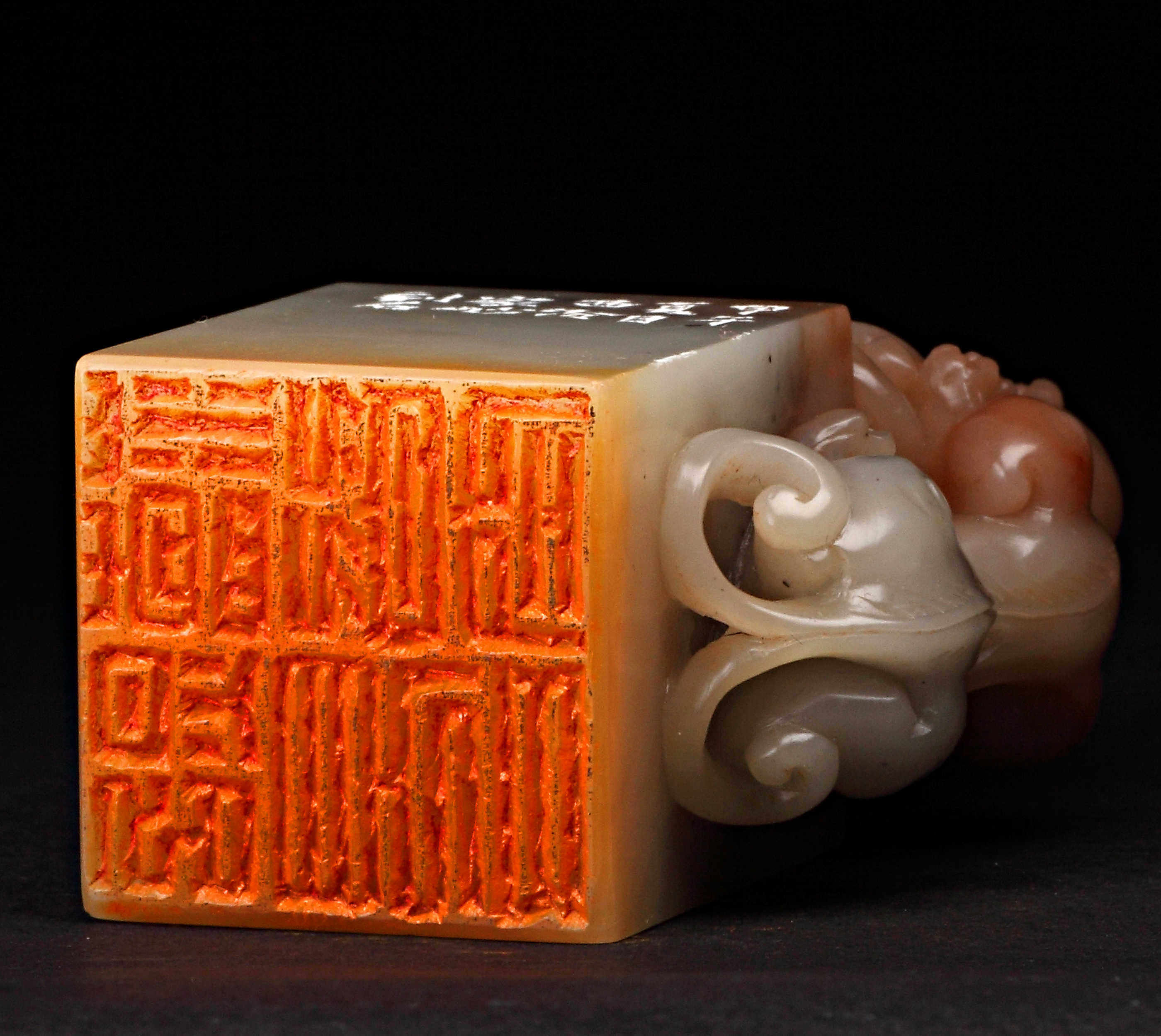 戴家妙 《照见五蕴皆空》