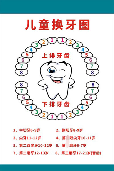 图解小孩换牙的顺序图片