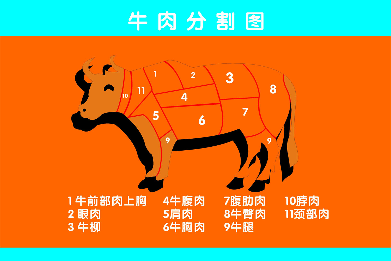 牛肉分割部位3d图 模型图片