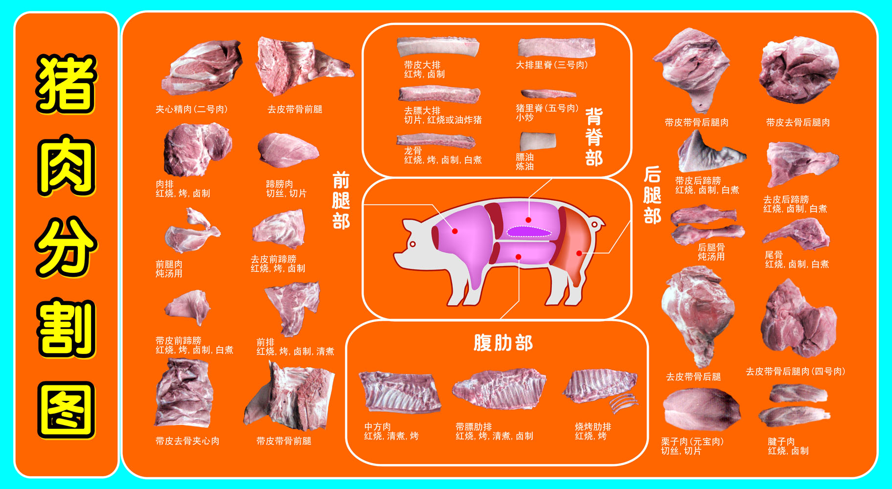 m768市场超市猪肉分割分切图部位图写真海报写真