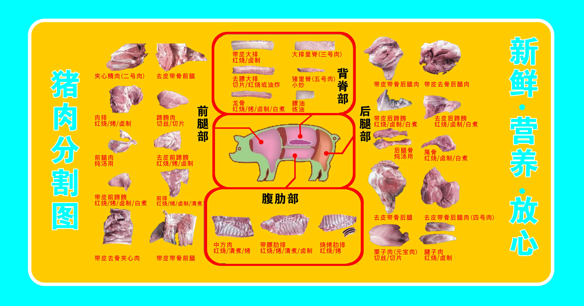 m768市场超市猪肉分割分切图部位图写真海报写真