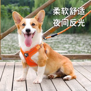 狗狗牵引绳背心式中小型犬柯基法斗柴犬遛狗绳可调节胸背带狗链子